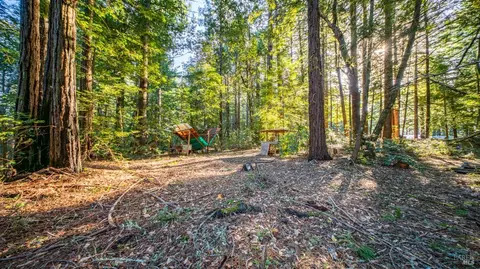 17470 Willow Creek Rd, Occidental, CA 95465 photo 20