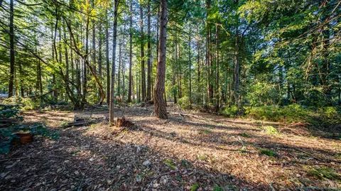 17470 Willow Creek Rd, Occidental, CA 95465 photo 21