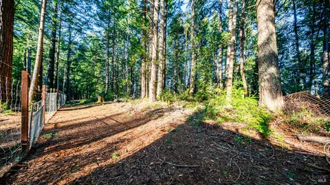 17470 Willow Creek Rd, Occidental, CA 95465 photo 27