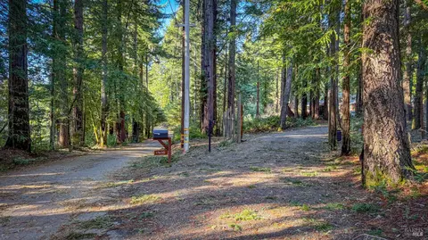 17470 Willow Creek Rd, Occidental, CA 95465 photo 8