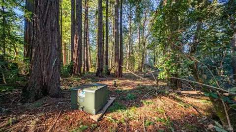 17470 Willow Creek Rd, Occidental, CA 95465 photo 15