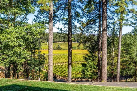 Other - 1155 Las Posadas Rd, Angwin, CA 94508 photo 2 of 16