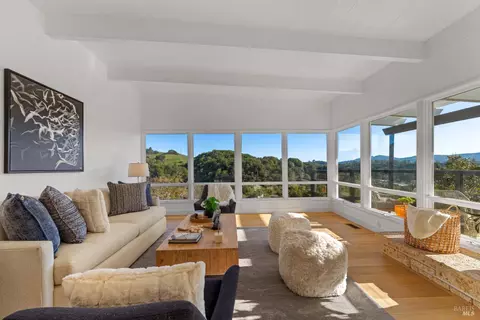 Living - 18 Stanton Way, Mill Valley, CA 94941 photo 2 of 9