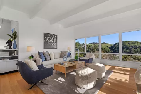 Living - 18 Stanton Way, Mill Valley, CA 94941 photo 4 of 9