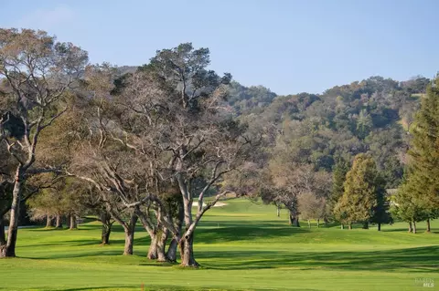 Other - 341 Fairway Dr, Novato, CA 94949 photo 8 of 9