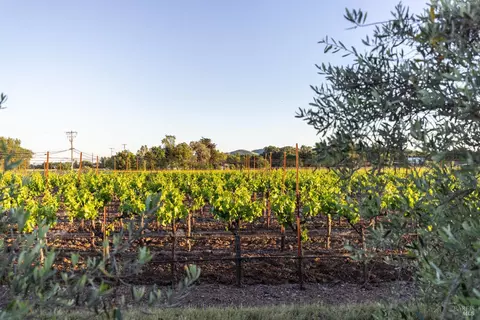 Other - 1220 Sperring Rd, Sonoma, CA 95476 photo 1 of 3