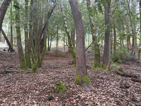 27369 Bear Dr, Willits, CA 95490