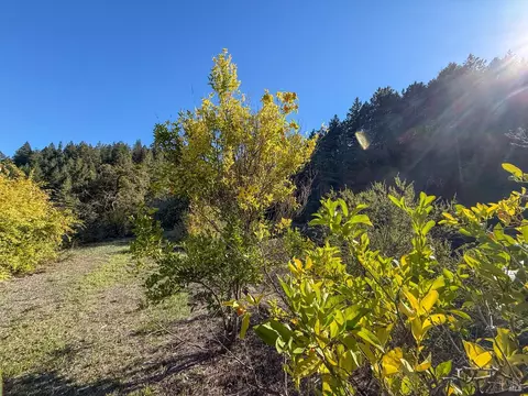 2300 Brack Rd, Healdsburg, CA 95448 photo 30