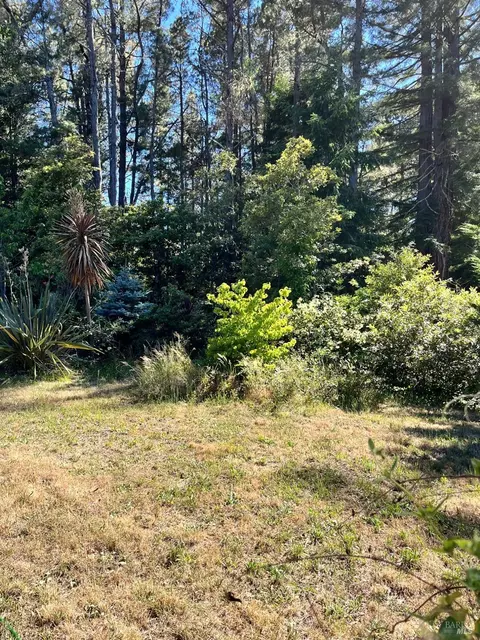 46251 Pacific Woods Rd, Gualala, CA 95445