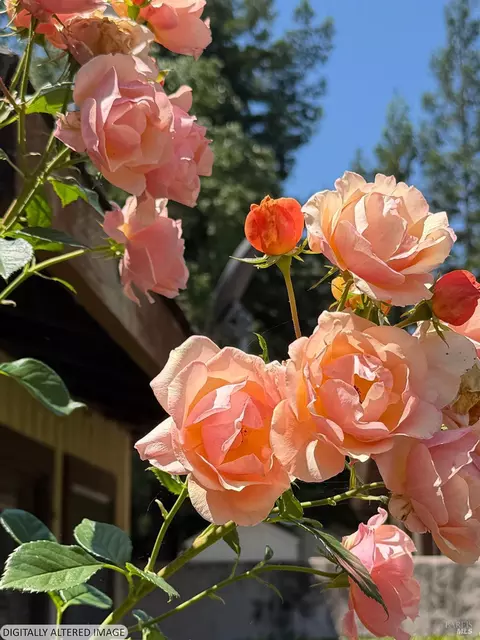 1927 Marsh Rd, Santa Rosa, CA 95403