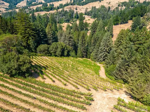 Other - 2151 Guntly Rd, Philo, CA 95466 photo 14 of 15