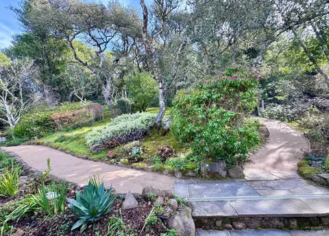 316 Rydal Ave, Mill Valley, CA 94941 photo 38