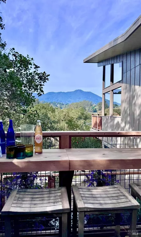 316 Rydal Ave, Mill Valley, CA 94941 photo 20