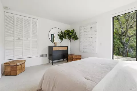316 Rydal Ave, Mill Valley, CA 94941 photo 34