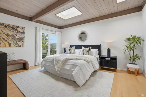 316 Rydal Ave, Mill Valley, CA 94941 photo 21