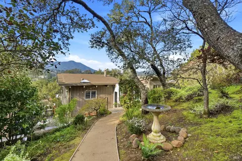 316 Rydal Ave, Mill Valley, CA 94941 photo 43