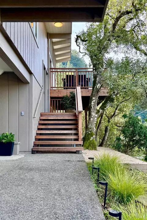316 Rydal Ave, Mill Valley, CA 94941 photo 41