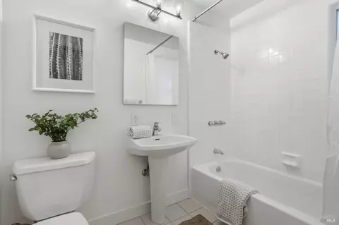 316 Rydal Ave, Mill Valley, CA 94941 photo 37