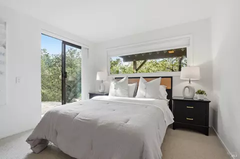 316 Rydal Ave, Mill Valley, CA 94941 photo 33