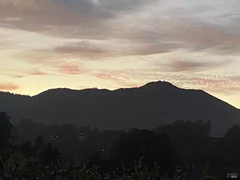 316 Rydal Ave, Mill Valley, CA 94941 photo 46
