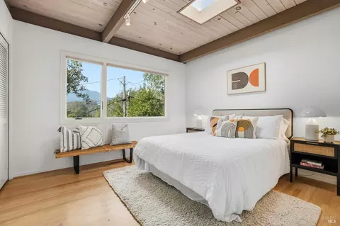 316 Rydal Ave, Mill Valley, CA 94941 photo 29