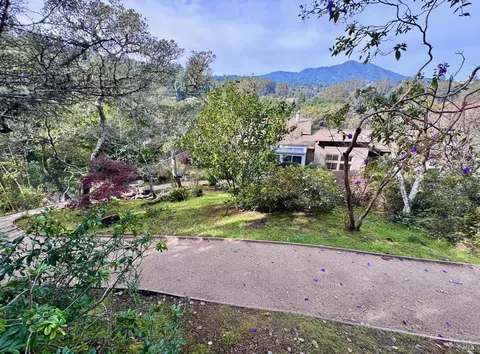 316 Rydal Ave, Mill Valley, CA 94941 photo 42