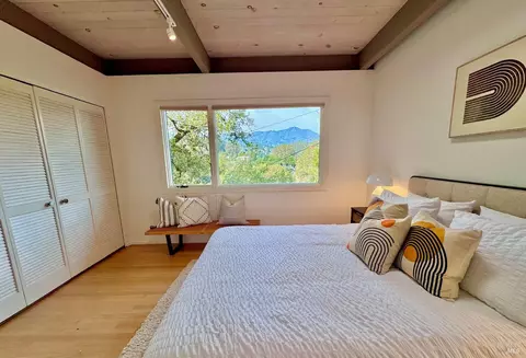 316 Rydal Ave, Mill Valley, CA 94941 photo 30