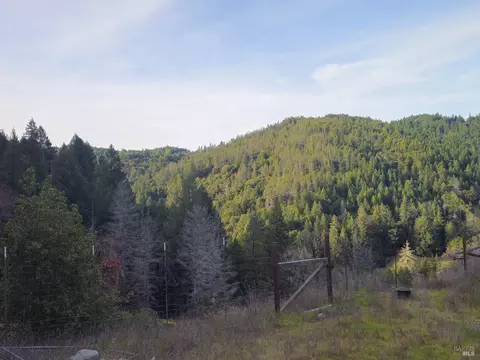 54240 Wildwood Dr, Leggett, CA 95585