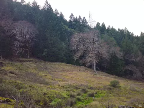0 Wildwood Dr, Leggett, CA 95585