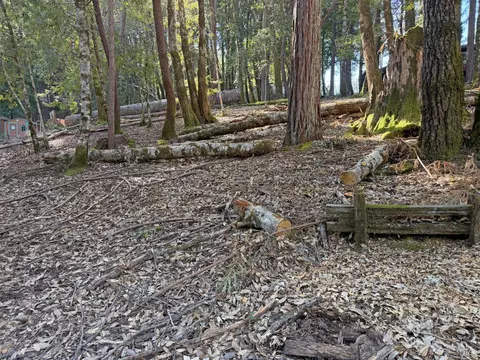 1920 Perch Rd, Willits, CA 95490 photo 2