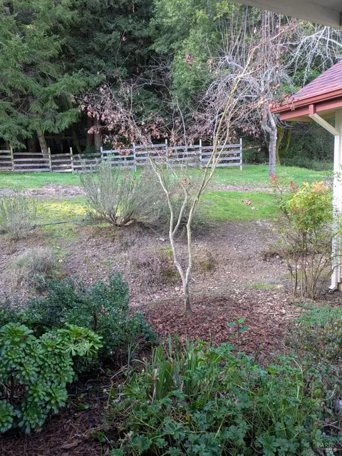 Exterior - 14639 Jomark Ln, Occidental, CA 95465 photo 7 of 7