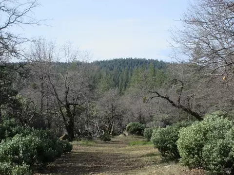 30425 Frontier Rd, Oak Run, CA 96069