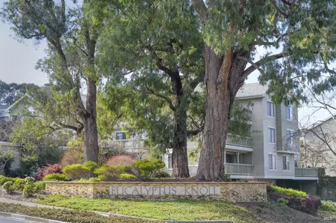 Other - 21 Eucalyptus Knoll St, Mill Valley, CA 94941 photo 9 of 16