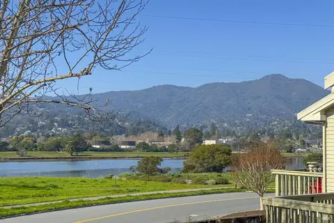 View/Area - 21 Eucalyptus Knoll St, Mill Valley, CA 94941 photo 1 of 3