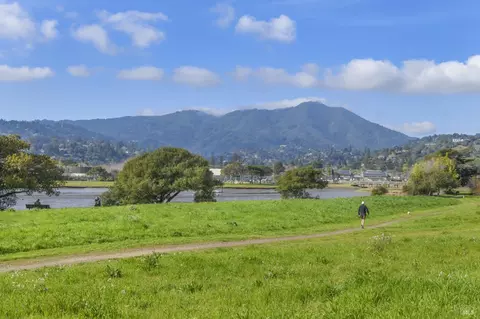 View/Area - 21 Eucalyptus Knoll St, Mill Valley, CA 94941 photo 2 of 3