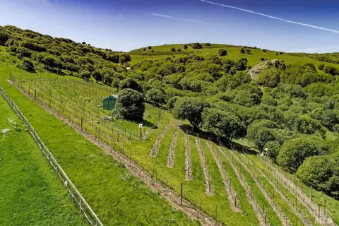 Other - 333-345 Willow Rd, Nicasio, CA 94946 photo 14 of 18