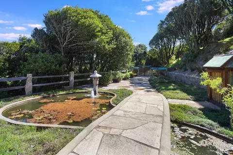 Exterior - 333-345 Willow Rd, Nicasio, CA 94946 photo 8 of 11