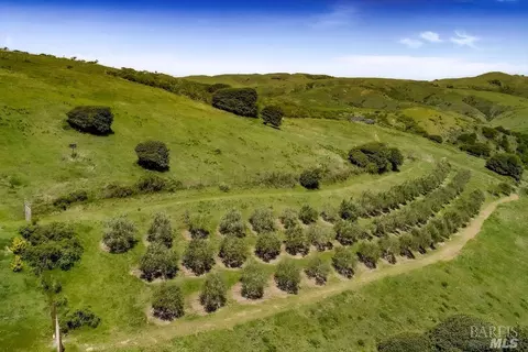 Other - 333-345 Willow Rd, Nicasio, CA 94946 photo 15 of 18