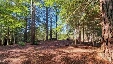 12301 Docker Hill Rd, Comptche, CA 95427 photo 12