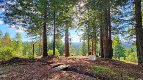 12301 Docker Hill Rd, Comptche, CA 95427 photo 3