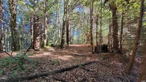 12301 Docker Hill Rd, Comptche, CA 95427 photo 14