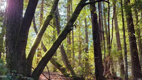 12301 Docker Hill Rd, Comptche, CA 95427 photo 8