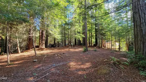12301 Docker Hill Rd, Comptche, CA 95427 photo 11