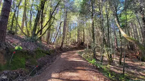 12301 Docker Hill Rd, Comptche, CA 95427 photo 7