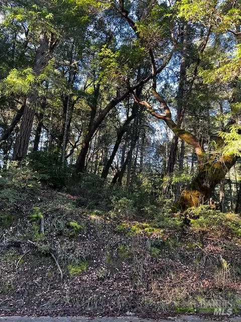 24419 Cypress Dr, Willits, CA 95490 photo 2