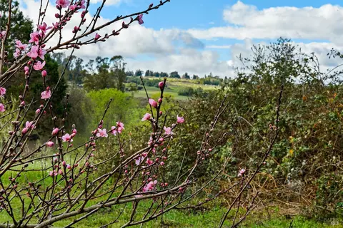 Other - 8400 Blackney Rd, Sebastopol, CA 95472 photo 11 of 12