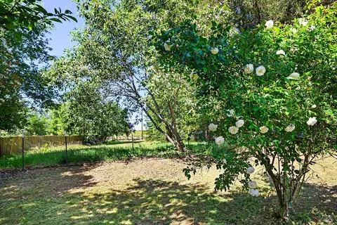 3950 Hicks Rd, Sebastopol, CA 95472 photo 26