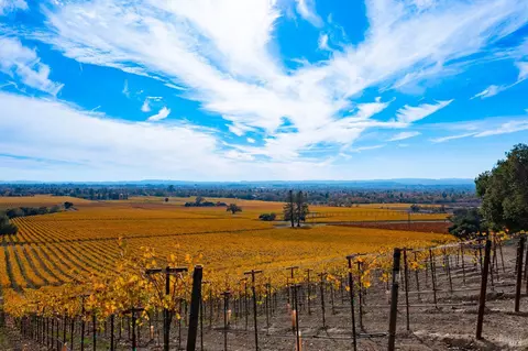 1276 Jensen Ln #LOT 1, Windsor, CA 95492 photo 33