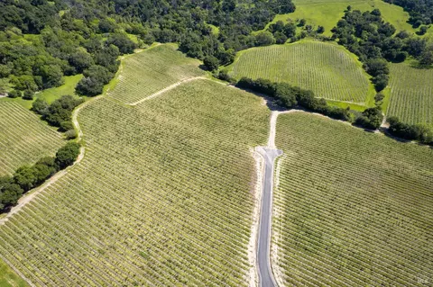 1276 Jensen Ln #LOT 2, Windsor, CA 95492 photo 6