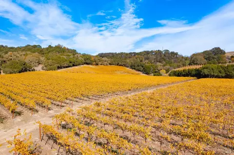 1276 Jensen Ln #LOT 2, Windsor, CA 95492 photo 40